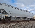BNGX 20030
